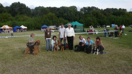 Wystawy psów #airedale #pies #ruvido #szczenięta #terier #terrier