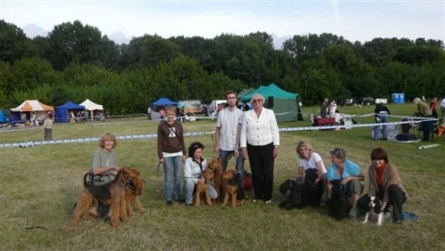 Wystawy psów #airedale #pies #ruvido #szczenięta #terier #terrier