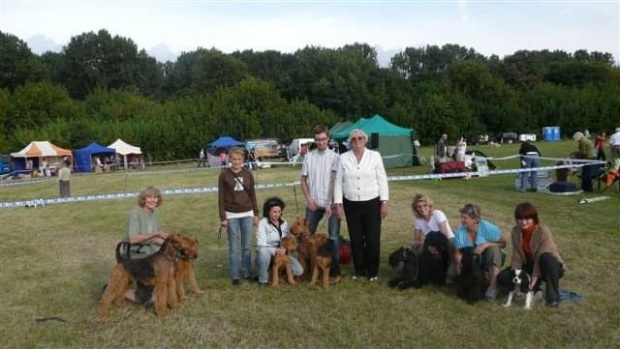 Wystawy psów #airedale #pies #ruvido #szczenięta #terier #terrier