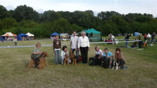 Wystawy psów #airedale #pies #ruvido #szczenięta #terier #terrier