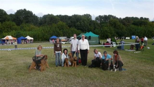 Wystawy psów #airedale #pies #ruvido #szczenięta #terier #terrier