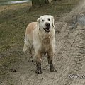 Nie wiem czy małej pasują te skarpetki