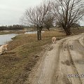 Dziewczynki na autostradzie słońca tylko Corsa za ostro weszła w zakręt i wyrzuciło ją na pobocze