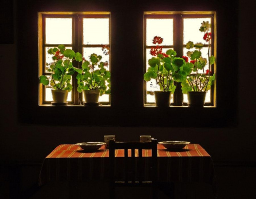 zapraszam na obiad :) #architektura #okna #kwiaty #posiłki