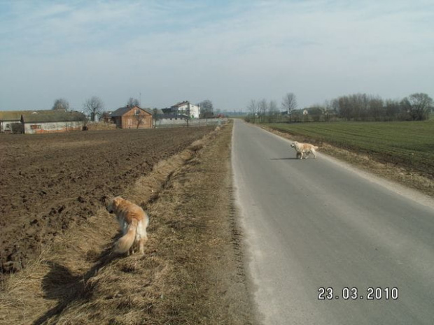 Wracamy do domku i za chwilę w maszynę i do Warszawy