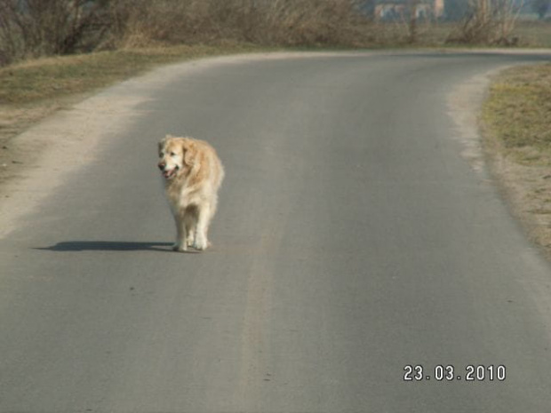 A to juz ranek a ona wciąż mi się podoba