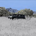 Hummer H2 #HummerH2 #suv #terenowe #samochody #cars