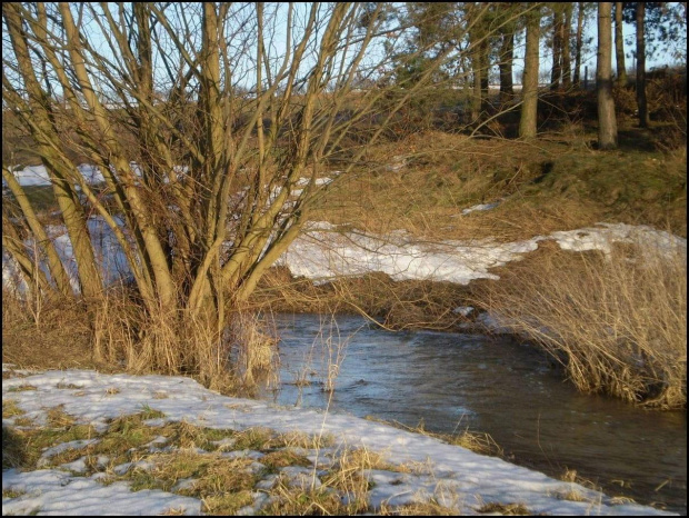 Roztopy w mojej okolicy po ostrej Zimie ...