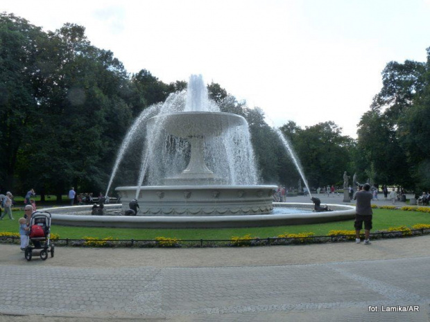 Parada labradorów. Warszawa 2011