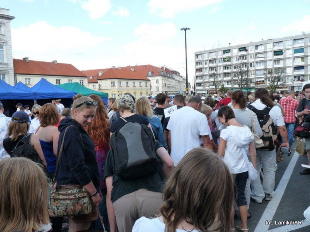 Parada labradorów. Warszawa 2011