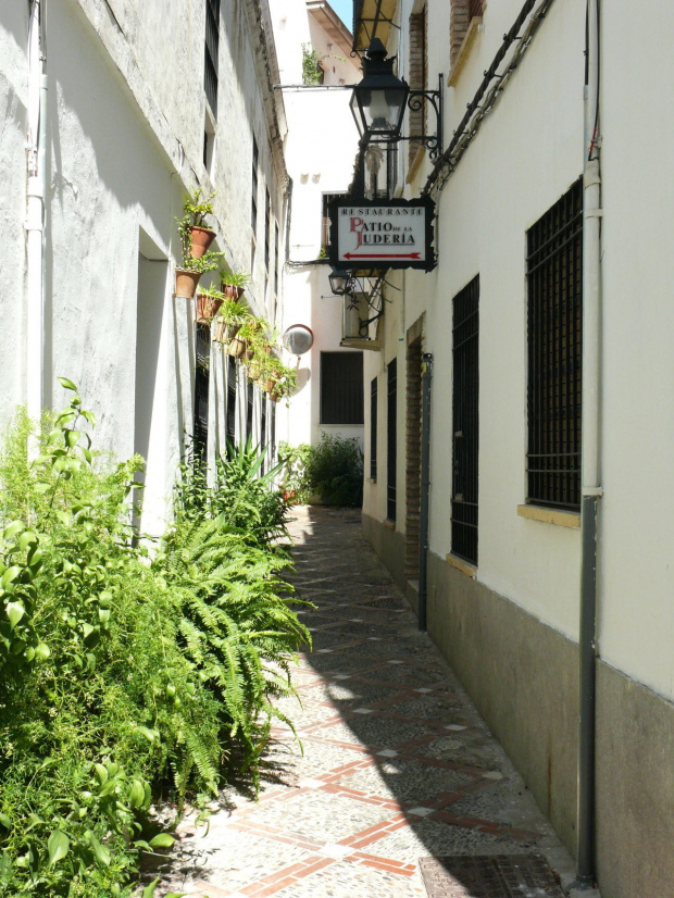Kordoba - wspaniale zachowane Barrio Judería - dzielnica żydowska #Andaluzja #Kordoba