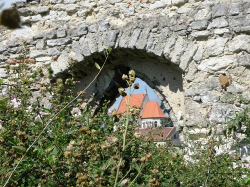 Stopnica (świętokrzyskie)-Stary Cmentarz