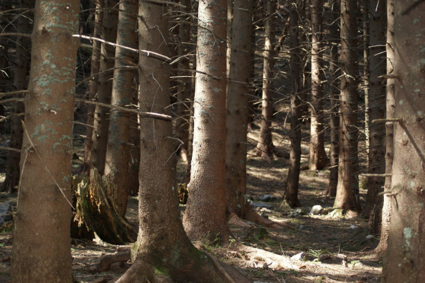 Widoki z Tatr #Tatry #Tatra #mountains #xnifar #rafinski