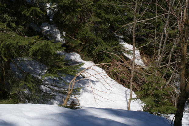 Widoki z Tatr #Tatry #Tatra #mountains #xnifar #rafinski