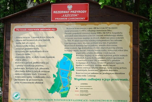 wycieczka z Ozzulkiem do rezerwatu #ptaki #Ozzy #woda