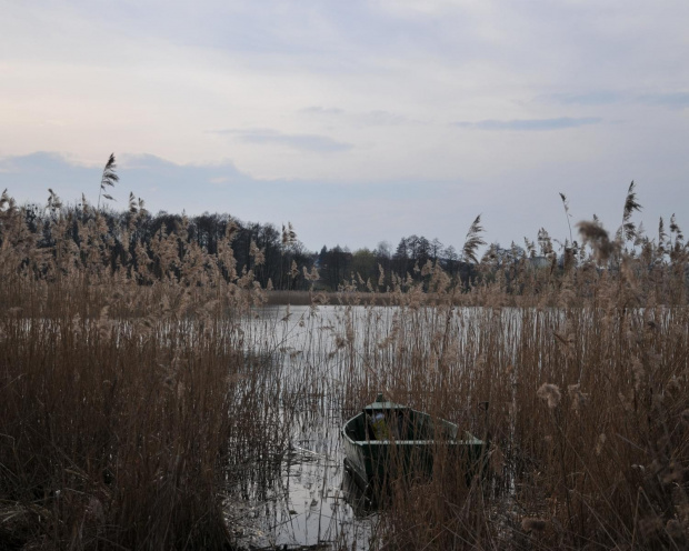 Ze spaceru popołudniowego w pierwszy dzień świąt