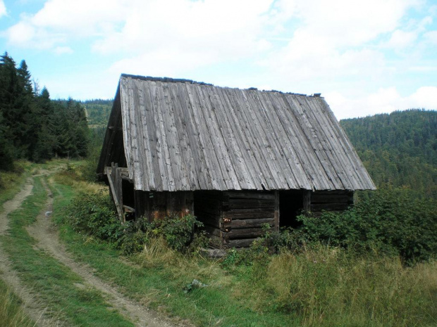 Szałas na Halach Gorcowskich #góry #beskidy #gorce #gorc