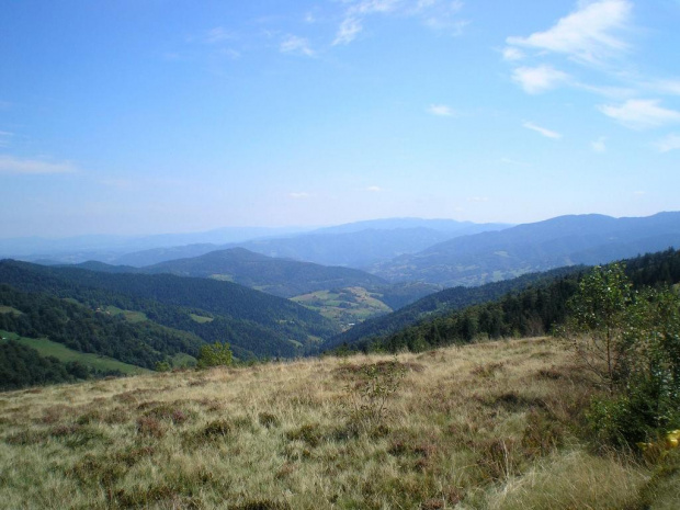 Beskid Sądecki z Hali Gorcowskich #góry #beskidy #gorce #gorc