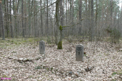 Mogiła Rosyjska w lesie koło Lisek, przy drodze Liski - Pietrzyki #Liski