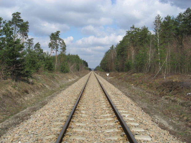 Nowo wyremontowana linia kolejowa Rzeszów Tarnobrzeg. #kolej #tabor #infrastruktura #transport