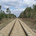 Nowo wyremontowana linia kolejowa Rzeszów Tarnobrzeg. #kolej #tabor #infrastruktura #transport