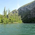 Cetina