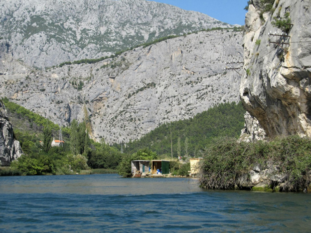 Cetina