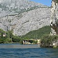 Cetina