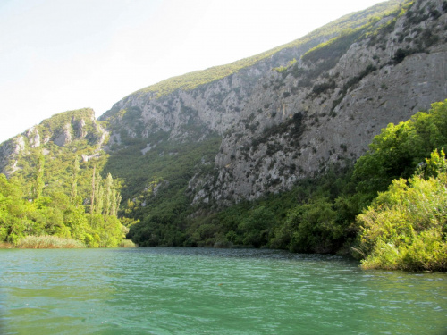 Cetina