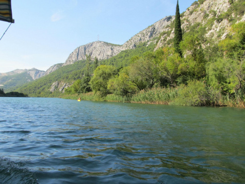 Cetina