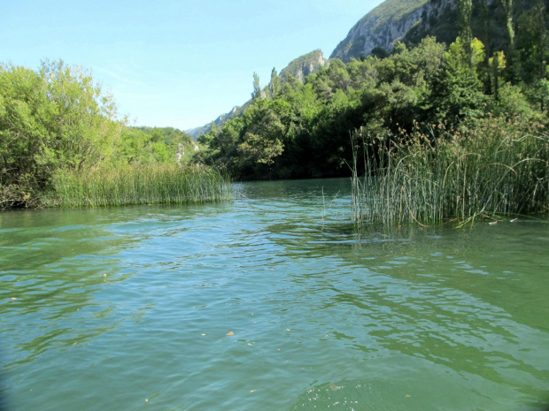 Cetina