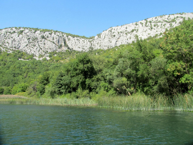 Cetina