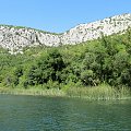 Cetina