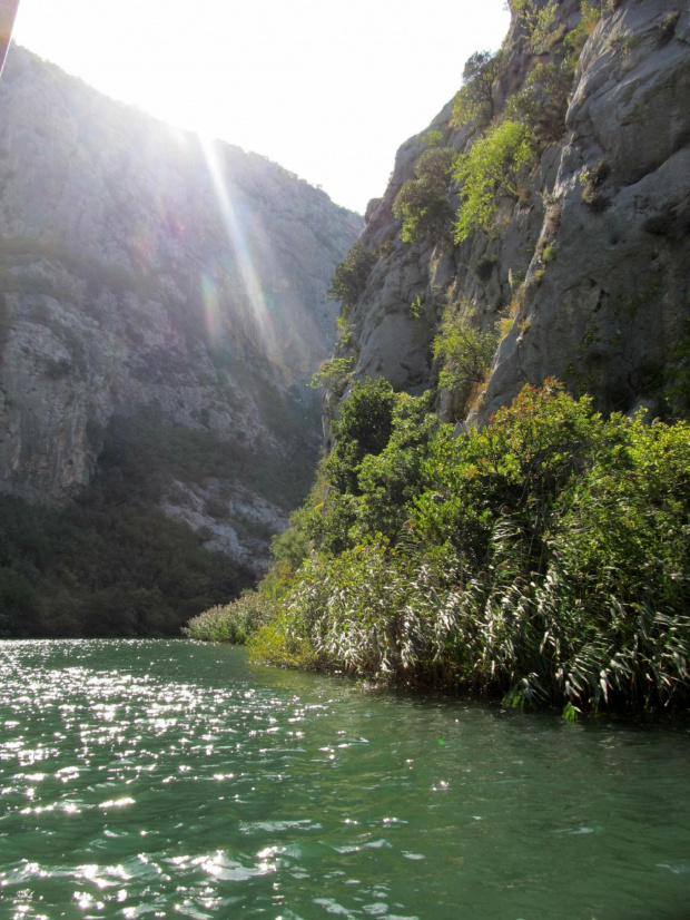 Cetina