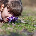 Pachną...? #kwiaty #zawilce #dzieci #portret #wiosna #arietiss