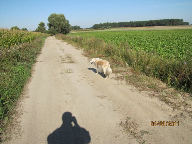 I rozpoczynamy kolejny pogodny dzień