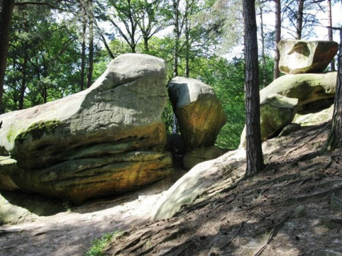 Ciężkowice (małopolskie)-Skalne Miasto