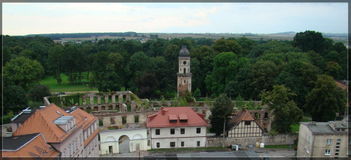 Ruiny zamku , które znajdują się w parku w Strzelcach Opolskich. Widok z wieży ratuszowej, która od niedawna jest dostępna do zwiedzania, #StrzelceOpolskie
