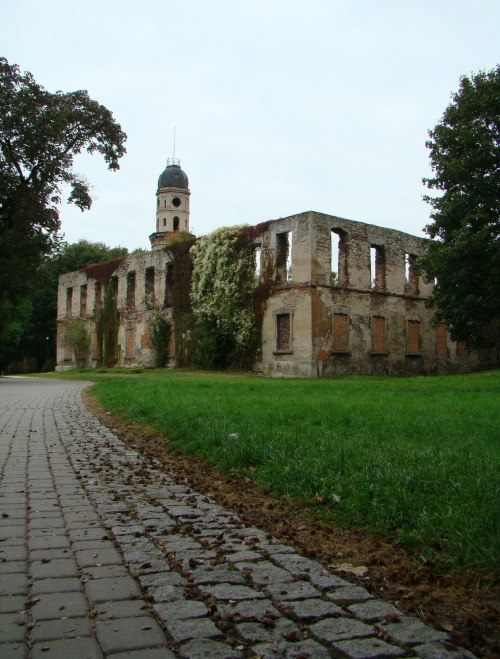 Strzelce Opolskie - ruiny zamku
