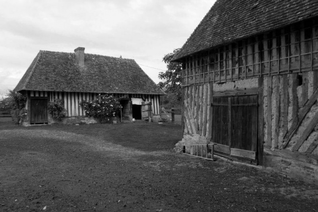 Manoir de Coupesarte, kurnik #ManoirDeCoupesarte