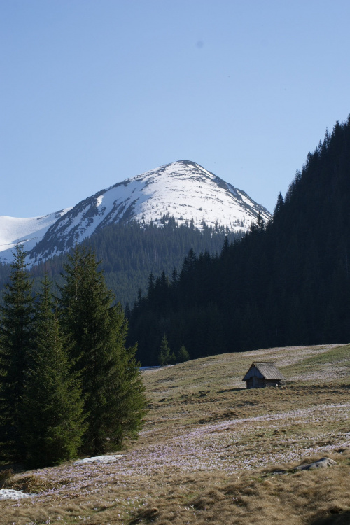 Widoki z Tatr #Tatry #Tatra #mountains #xnifar #rafinski