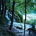 Park Narodowy Chorwacji-Jeziora Plitvickie