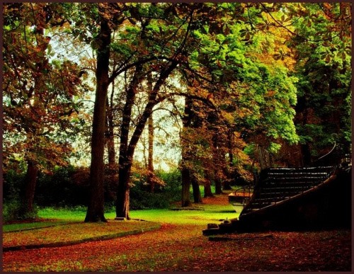 jesień idzie przez park #krajobraz #przyroda