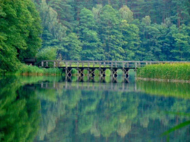 jezioro Ostrowieckie w Drawieńskim Parku Narodowym ...:)