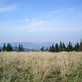 Luboń Wielki i Szczebel z Hali Turbacz #góry #beskidy #gorce #turbacz #turbaczyk #koninki