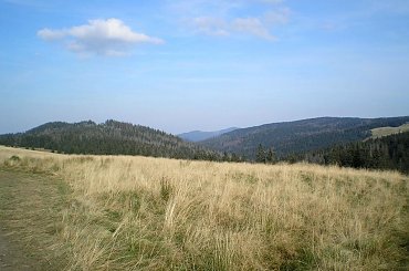 Mostownica, Jaworzyna Kamienicka i Gorc z Hali Turbacz #góry #beskidy #gorce #turbacz #turbaczyk #koninki