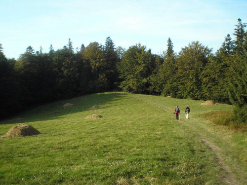 Polana Średnie #góry #beskidy #gorce #turbacz #turbaczyk #koninki