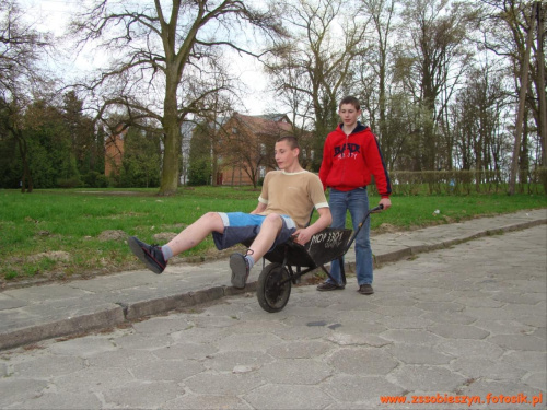 Przed Dniem Otwartych Drzwi w Sobieszynie-Brzozowej jest tyle pracy, że mało która taczka jedzie pusta #Sobieszyn #Brzozowa