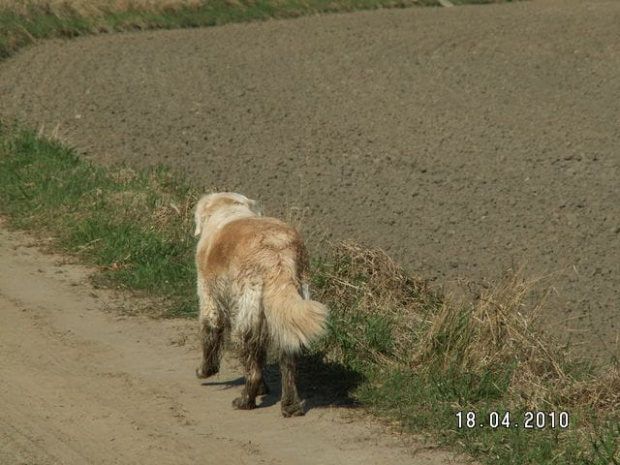 Moje maleństwo nabrało bardziej zdecydowanych kolorów