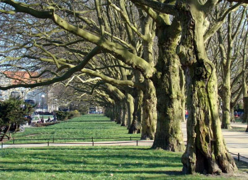 ostatni etap mojej sobotniej wycieczki po Szczecinie .....Jasne Błonia i Park Kasprowicza, który łączy się z Lasem Arkońskim .....:))))